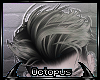 /o/ Chuck Metal