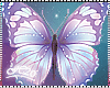 Butterflies Mora pastel