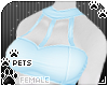 [Pets] Halter | sky