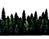 Forest Surround Addon