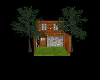 Family Back Yard