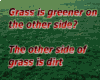 Wise sayings grass