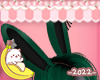 S! Midoriya Bunny Ears