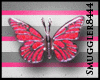 [smug] Butterfly *P*