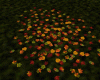 Y* Autumn Leaves