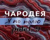 Po polu