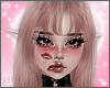 Dream Moka