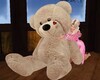 FA:&acirc;�&yen; Lovely Big Teddy