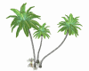 Bananas Palm Trees 2