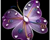the butterfly 2