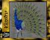 (V)Animated, Peacock,