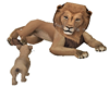 Lion & Playful Cub