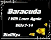 Baracuda-I Will Love Aga