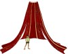 Red n Gold Canopy Drapes