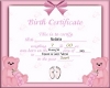 Girl Birth Certificate