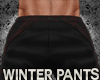 Jm Winter Pants