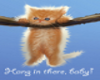 hang in there kitty
