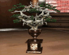 ocilia bonsai vase