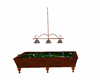 Animated Pool Table