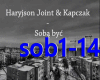 Haryjson Joint -Soba byc