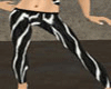 pants leggings zebra