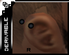 Piercing R Ear