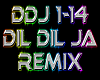 Dil Dil Ja remix