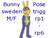 Bunny sweden M/F