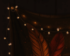 Feathers & Firelight