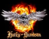 True Harley Davidson