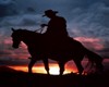 Sunset cowboy
