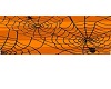 Orange Spider Web Poster
