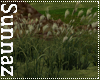 (S1)Animated Weeds/Grass