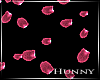 H. Rose Petals Pink