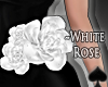 Cat~ White Roses . Waist