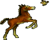 Animated Horse 27