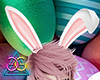 Easter. Bunny Ears [M]