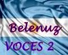 Voces Argentina 2