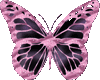 butterfly anim