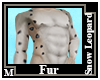 Snow Leopard Fur M