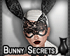 [CS] Bunny Secrets .F
