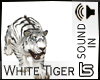 LS*King's White Tiger