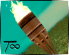 T∞ Animated Torch