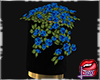 [LD]Flower♣Plant B
