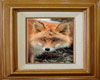 red fox framed picture