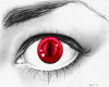 Red cat eyes