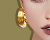 Gold Barra Earrings
