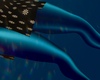 Dark Blue Leggings