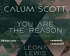 You R the Reason-C Scott