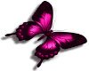 {R} pink butterfly med